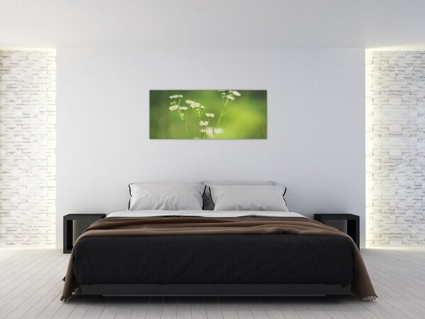 Slika Tratinčice (120x50 cm)
