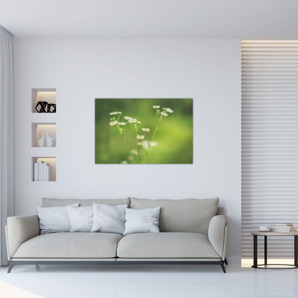 Slika Tratinčice (90x60 cm)