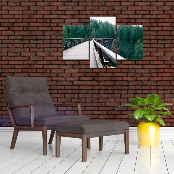 Slika - Most do vrhova drveća (90x60 cm)