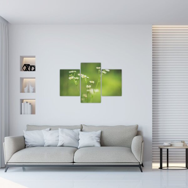 Slika Tratinčice (90x60 cm)
