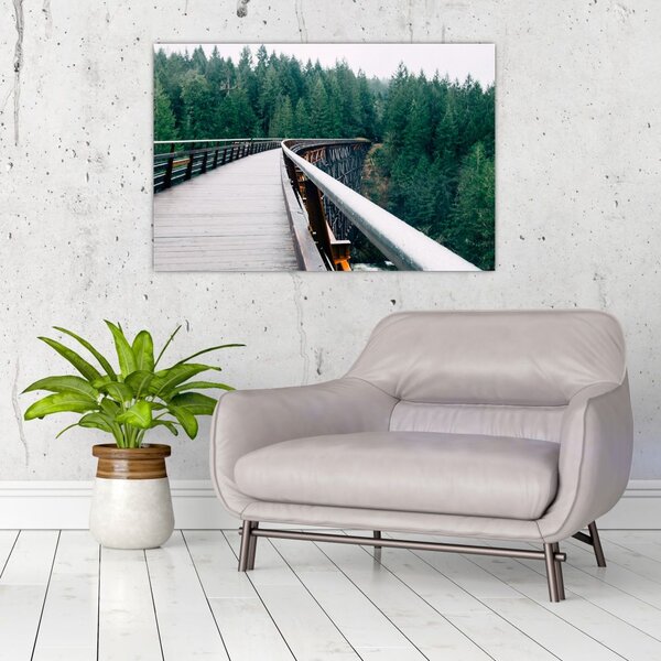 Slika - Most do vrhova drveća (90x60 cm)