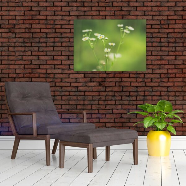 Slika Tratinčice (70x50 cm)