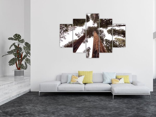 Slika - Pogled kroz krošnje stabala (150x105 cm)