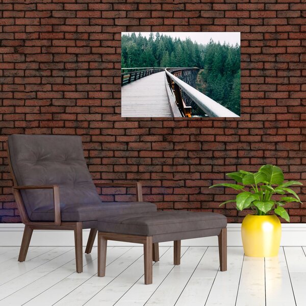 Slika - Most do vrhova drveća (70x50 cm)