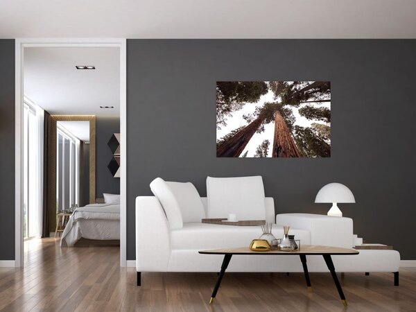 Slika - Pogled kroz krošnje stabala (90x60 cm)