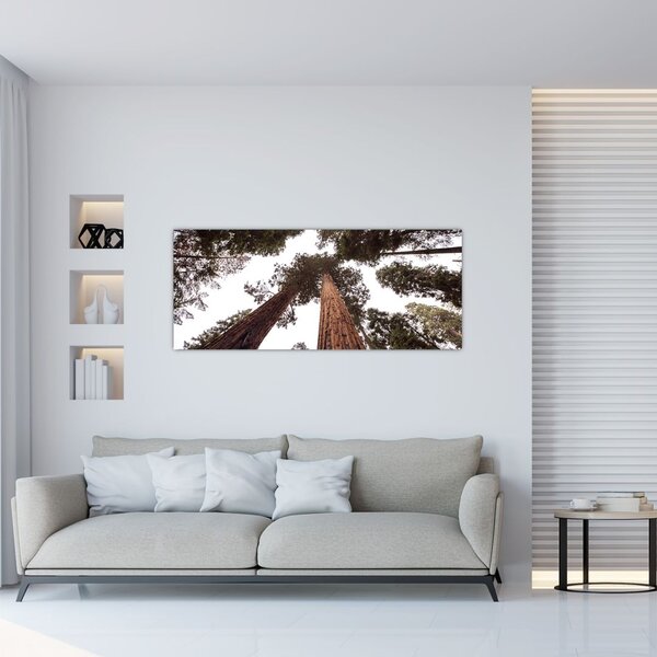 Slika - Pogled kroz krošnje stabala (120x50 cm)