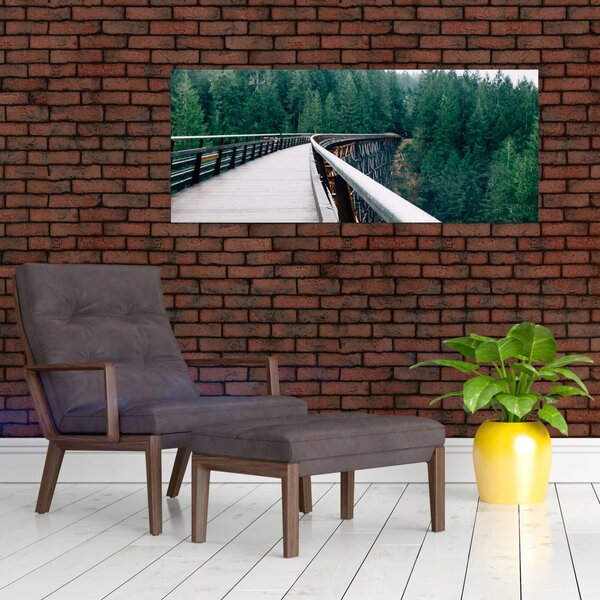Slika - Most do vrhova drveća (120x50 cm)
