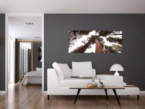 Slika - Pogled kroz krošnje stabala (120x50 cm)