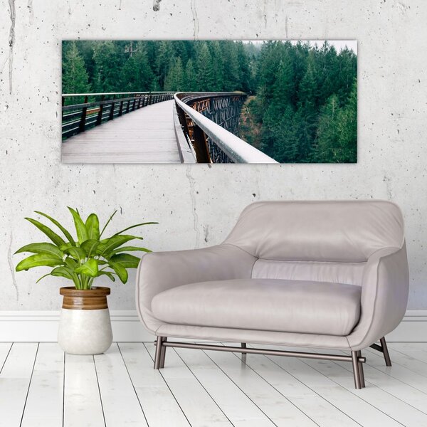 Slika - Most do vrhova drveća (120x50 cm)