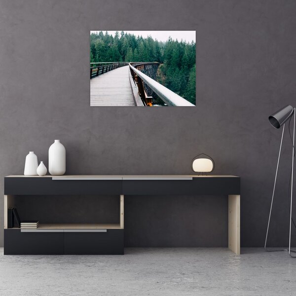 Slika - Most do vrhova drveća (70x50 cm)