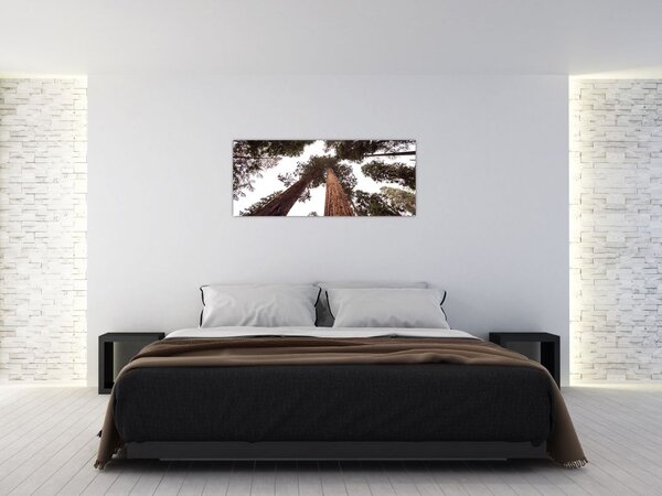 Slika - Pogled kroz krošnje stabala (120x50 cm)