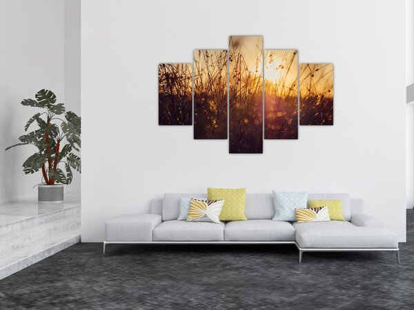Slika polja pri zalasku sunca (150x105 cm)