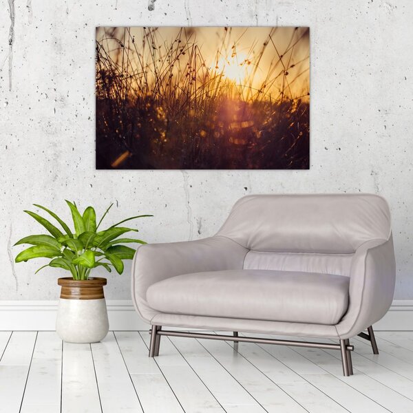 Slika polja pri zalasku sunca (90x60 cm)