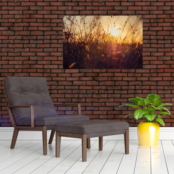 Slika polja pri zalasku sunca (90x60 cm)