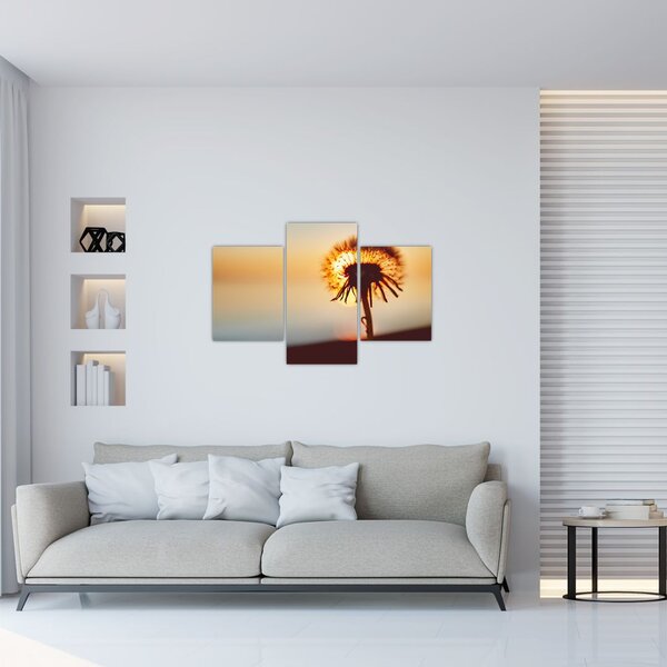 Slika Maslačak pri zalasku sunca (90x60 cm)