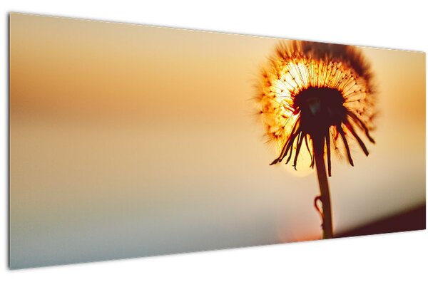 Slika Maslačak pri zalasku sunca (120x50 cm)