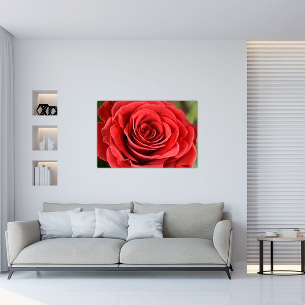 Slika cvijeta ruže (90x60 cm)