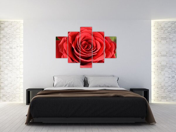 Slika cvijeta ruže (150x105 cm)