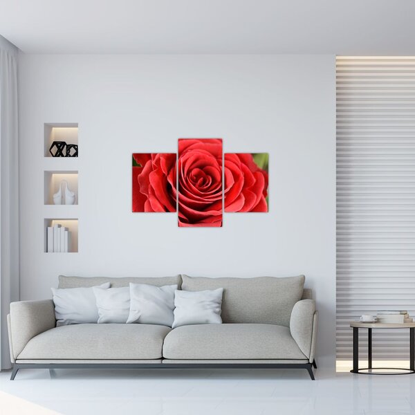 Slika cvijeta ruže (90x60 cm)