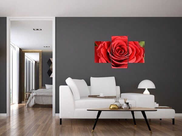 Slika cvijeta ruže (90x60 cm)