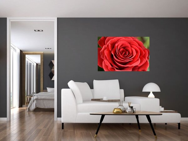 Slika cvijeta ruže (90x60 cm)
