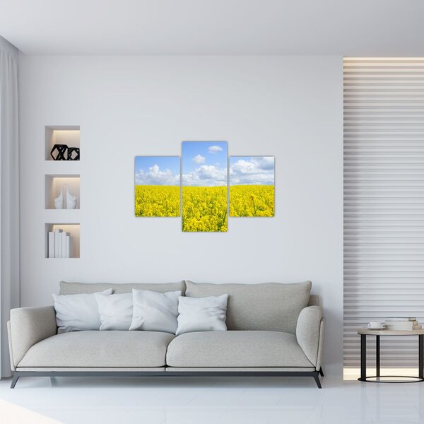 Slika žutog polja (90x60 cm)