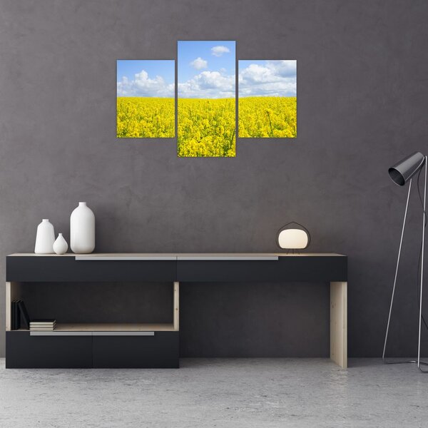 Slika žutog polja (90x60 cm)