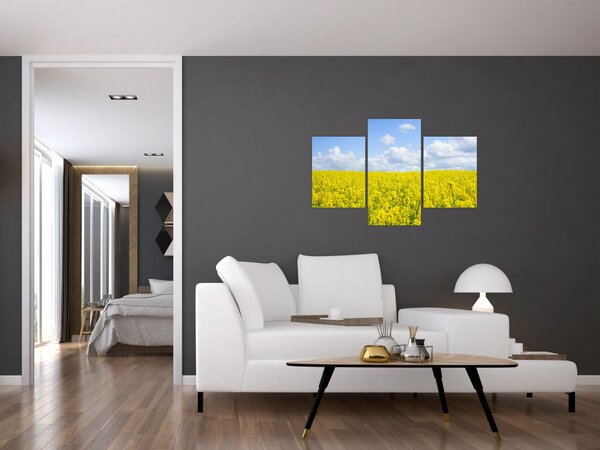 Slika žutog polja (90x60 cm)