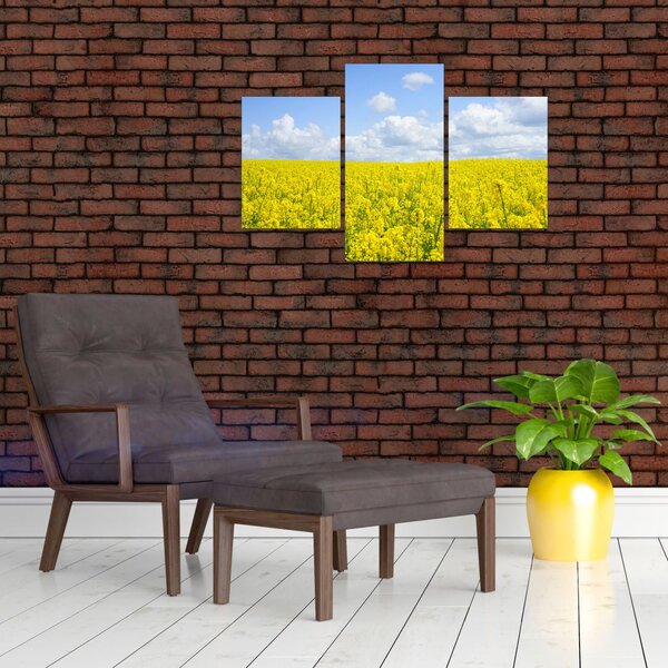 Slika žutog polja (90x60 cm)