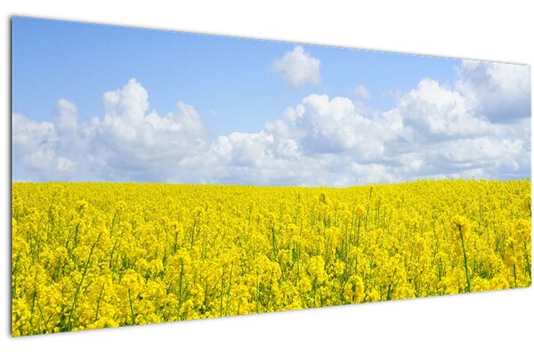 Slika žutog polja (120x50 cm)