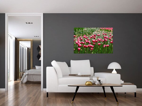 Slika tulipana (90x60 cm)