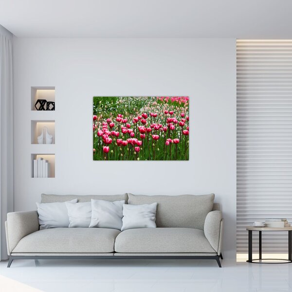Slika tulipana (90x60 cm)