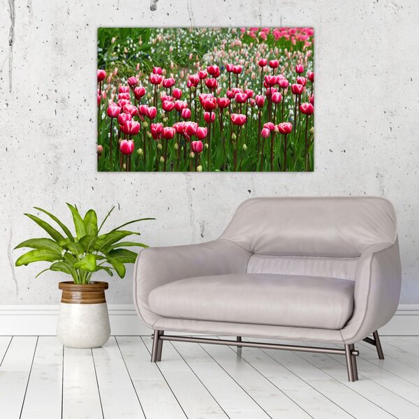 Slika tulipana (90x60 cm)