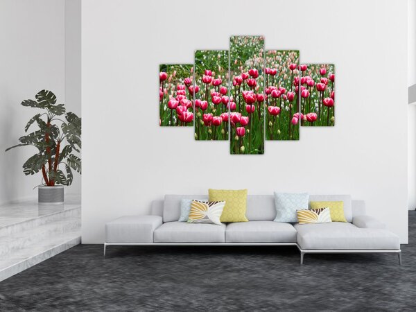 Slika tulipana (150x105 cm)