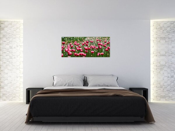 Slika tulipana (120x50 cm)