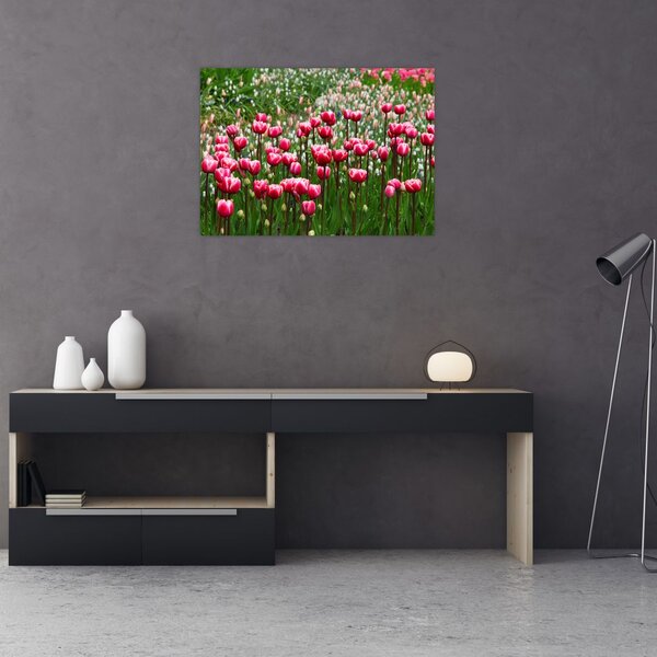 Slika tulipana (70x50 cm)