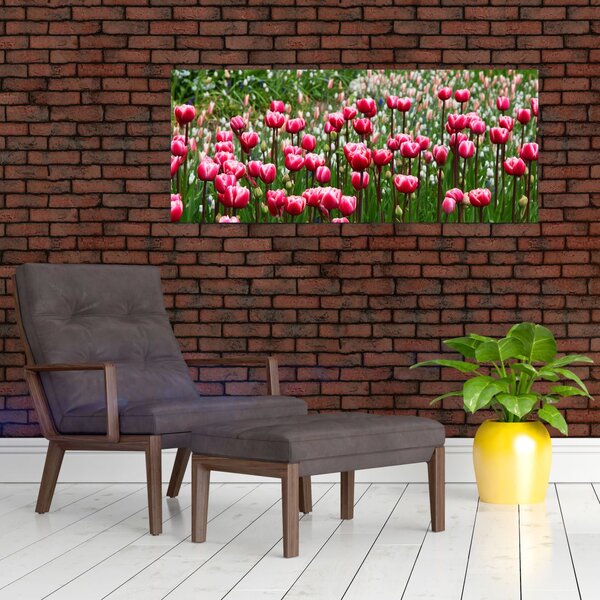 Slika tulipana (120x50 cm)