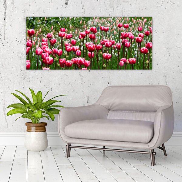 Slika tulipana (120x50 cm)