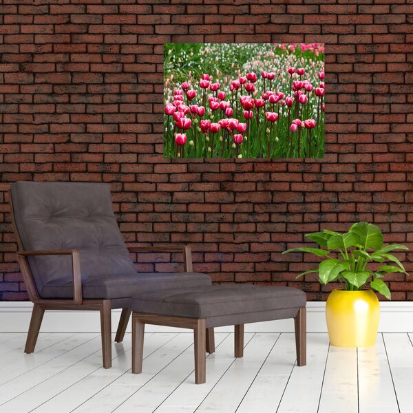Slika tulipana (70x50 cm)