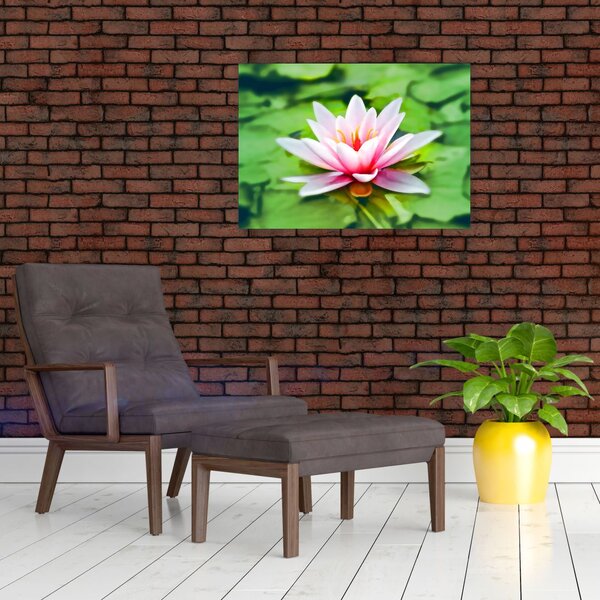 Slika lokvanja na vodenoj površini (70x50 cm)