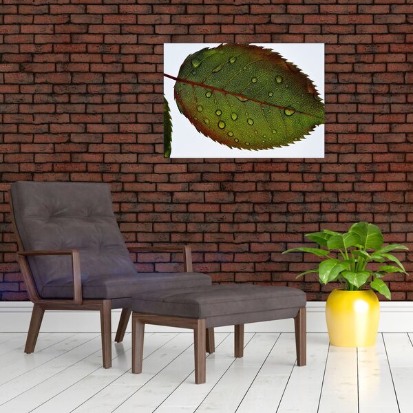 Slika - List ruže (70x50 cm)