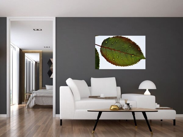Slika - List ruže (90x60 cm)