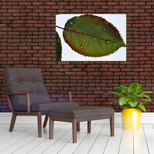 Slika - List ruže (90x60 cm)