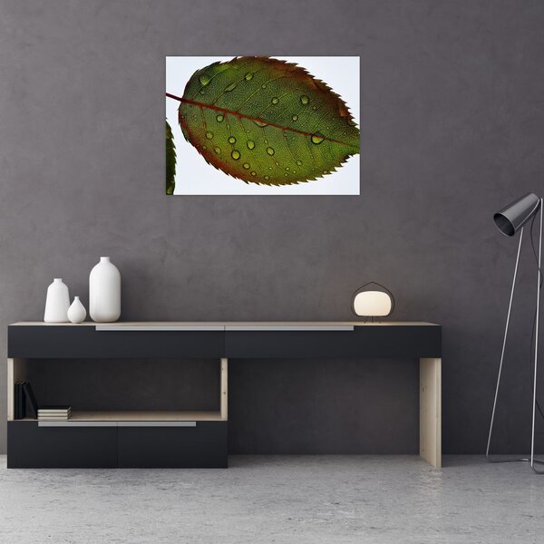 Slika - List ruže (70x50 cm)