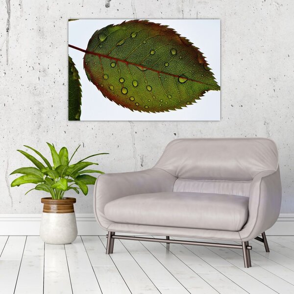 Slika - List ruže (90x60 cm)