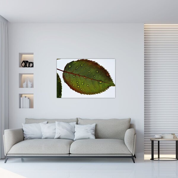 Slika - List ruže (90x60 cm)
