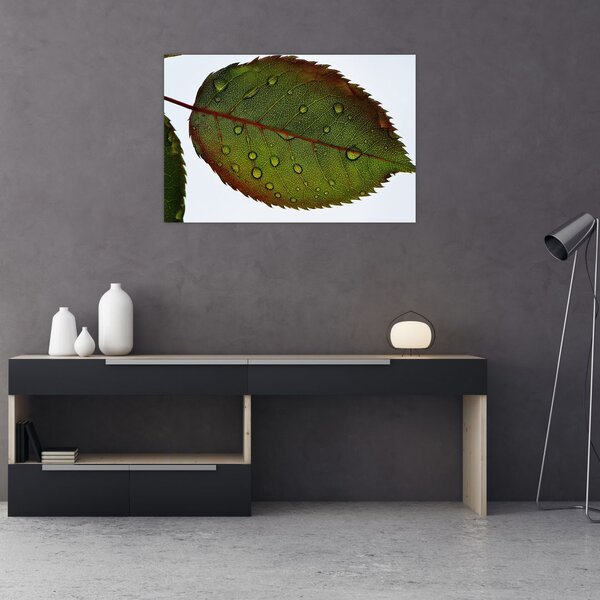 Slika - List ruže (90x60 cm)