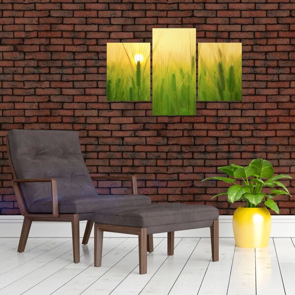 Slika polja sa žitom (90x60 cm)