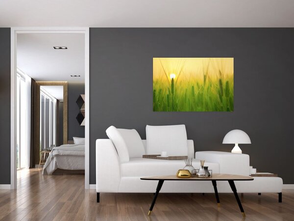 Slika polja sa žitom (90x60 cm)