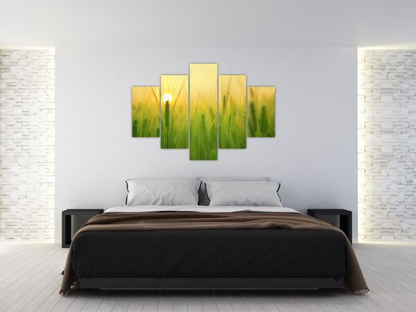 Slika polja sa žitom (150x105 cm)